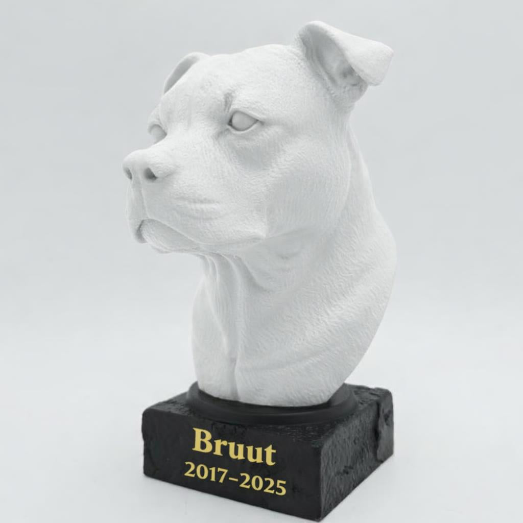 Staffordshire Bull Terrier