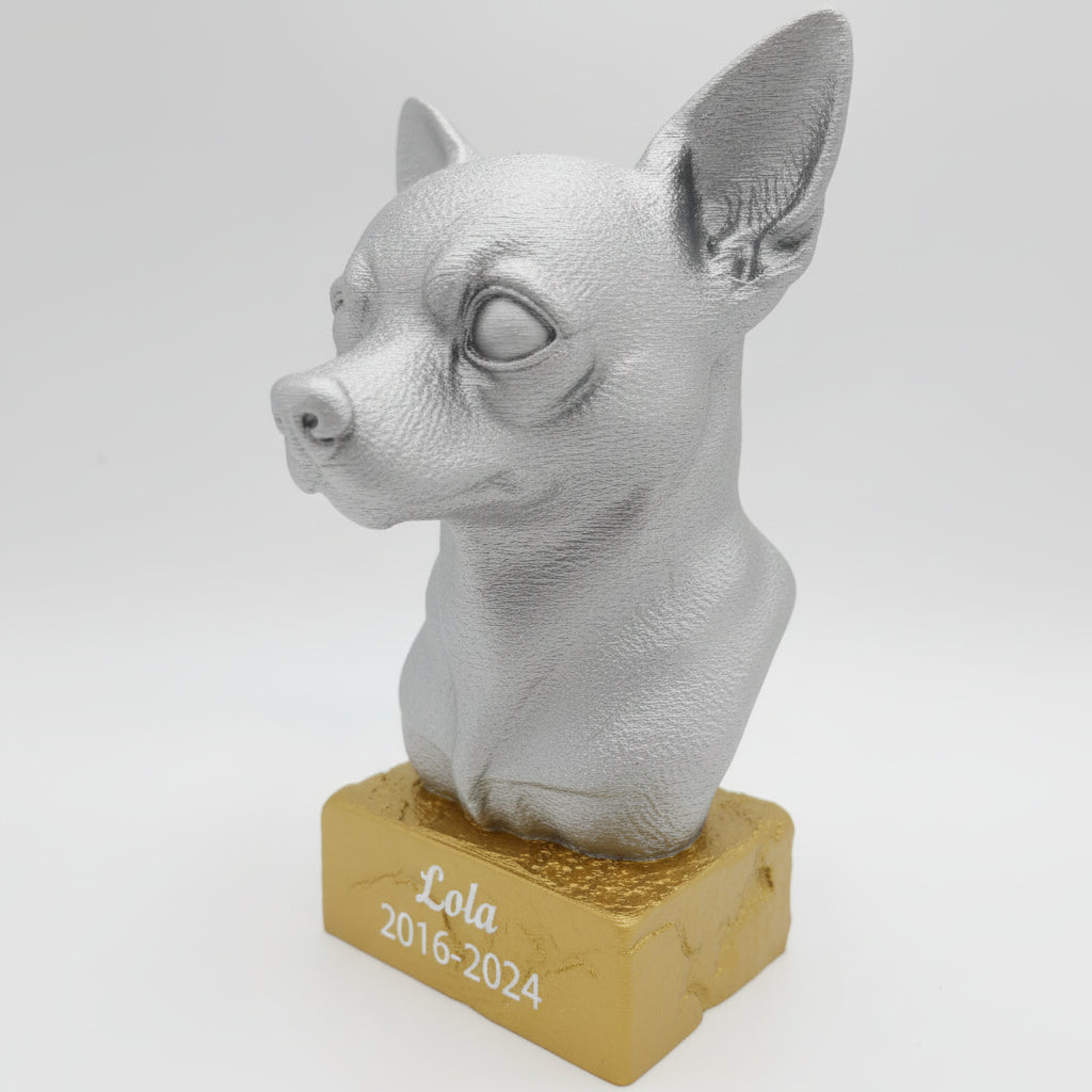 Chihuahua (korthaar)