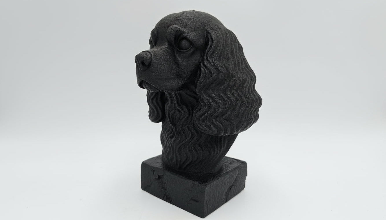 Cavalier