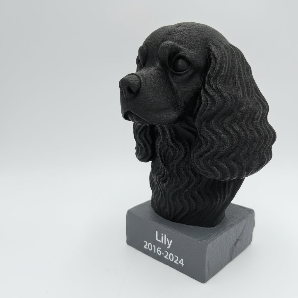 Cavalier