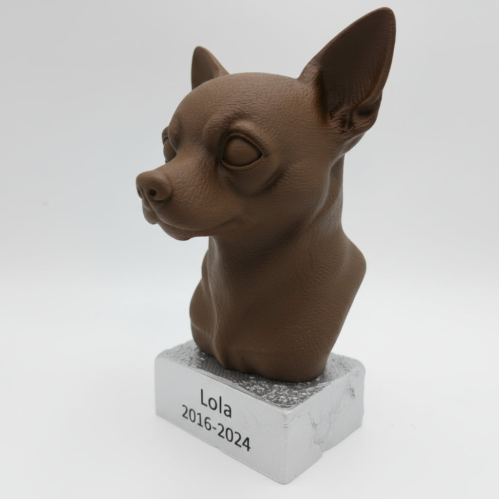 Chihuahua (korthaar)