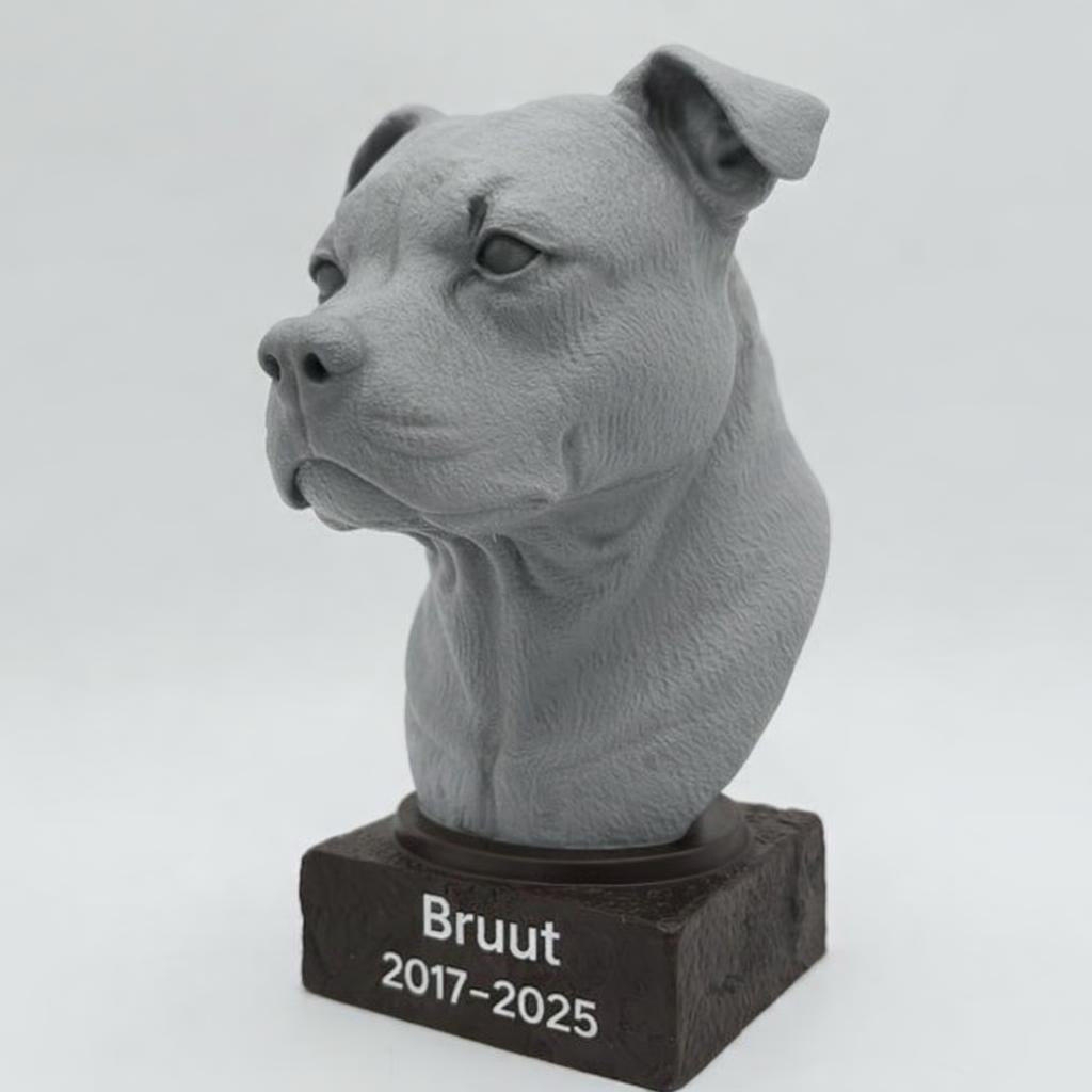 Staffordshire Bull Terrier