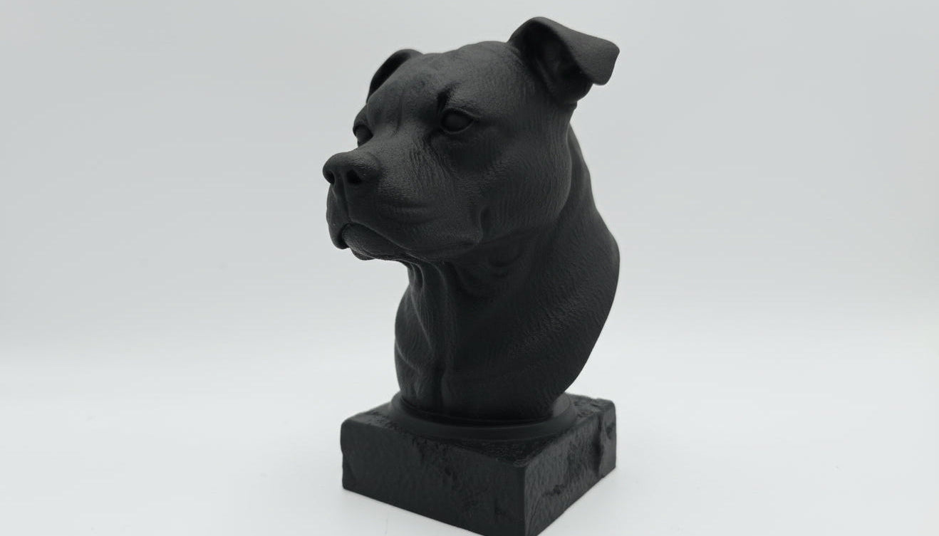 Staffordshire Bull Terrier