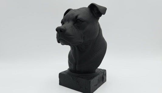 Staffordshire Bull Terrier