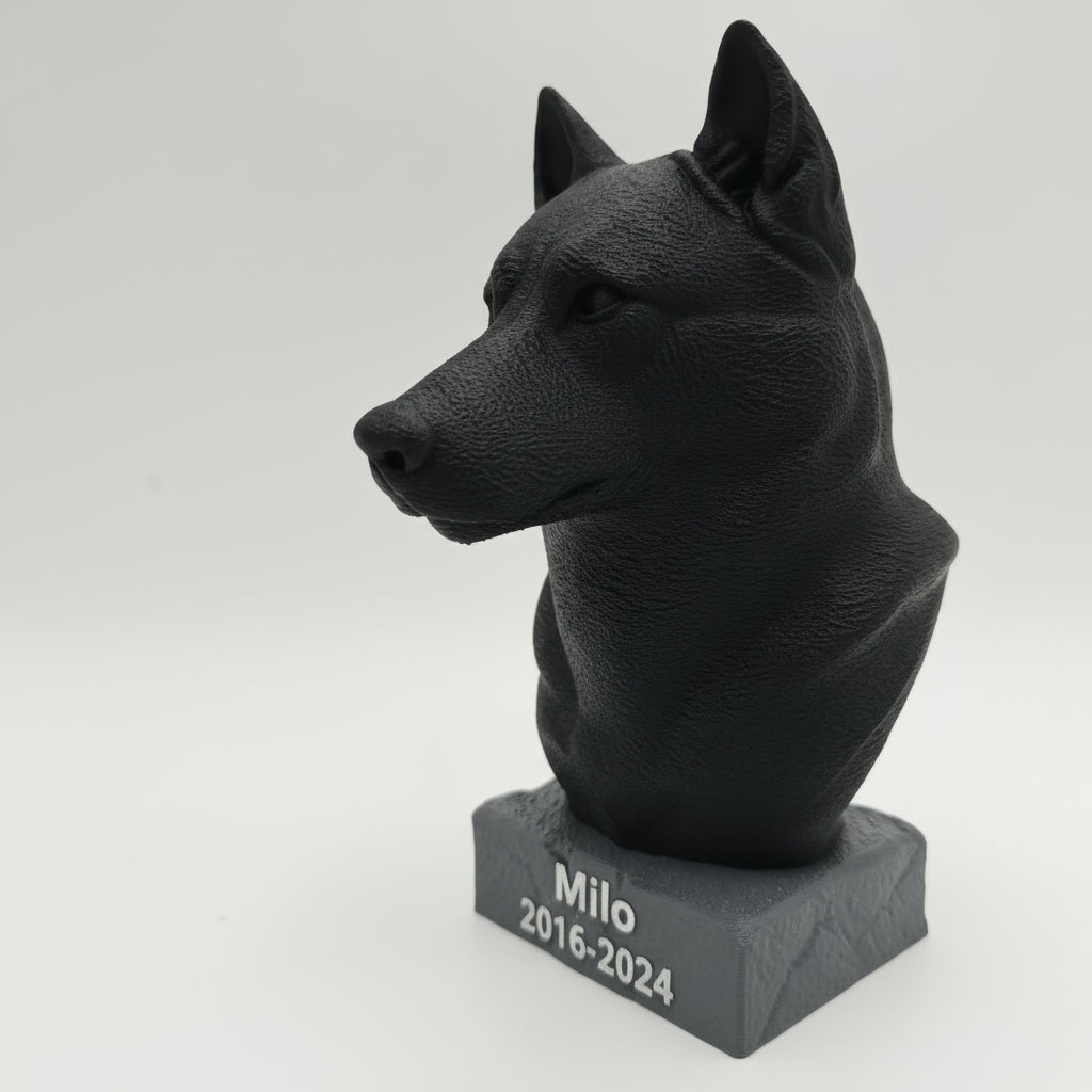 Husky