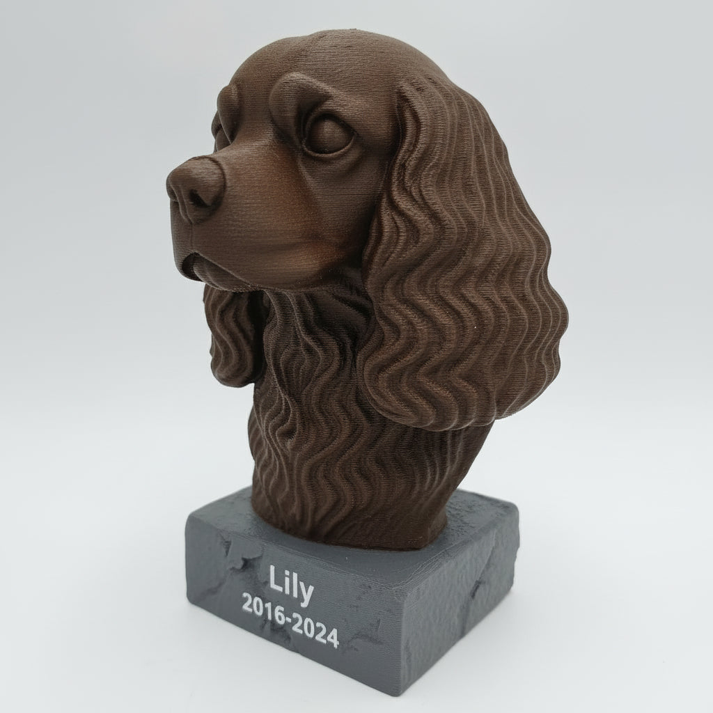Cavalier
